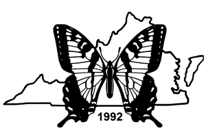 Link Logo