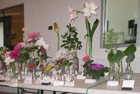 Horticulture Image