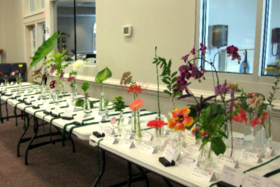 Horticulture Image