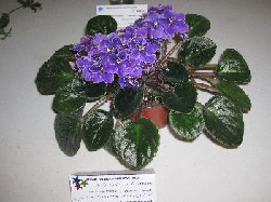 Horticulture Image