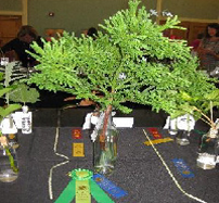 Horticulture Image