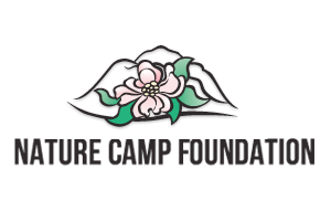 Link Logo